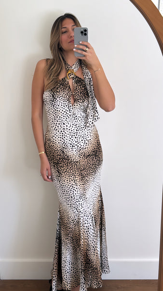 Vintage 2007 Roberto Cavalli Cheetah Print Silk Gown